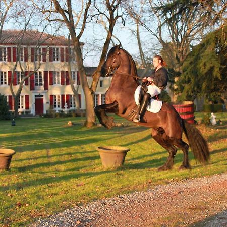 Le Relais Du Silence Chateau Lavail Labastide-dʼAnjou Eksteriør bilde