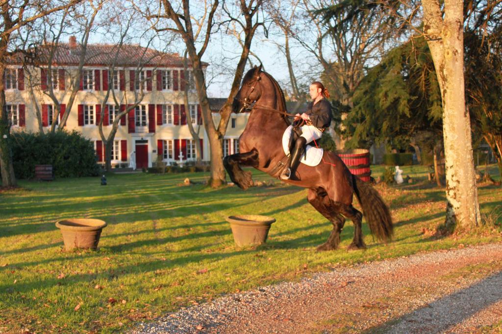 Le Relais Du Silence Chateau Lavail Labastide-dʼAnjou Eksteriør bilde